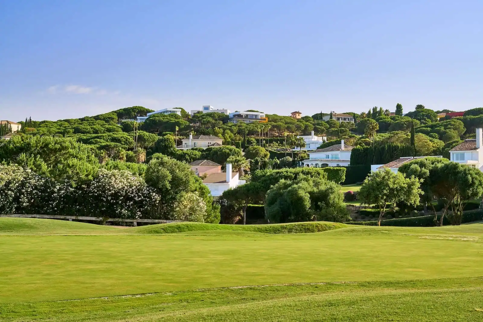 Leading Marbella High-End Agency Expands Operations to Sotogrande 5 Almenara.jpg