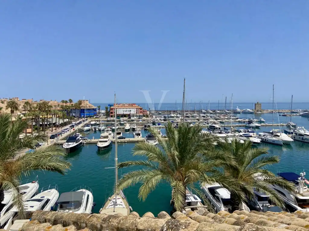 Leading Marbella High-End Agency Expands Operations to Sotogrande 3 IMG 7393