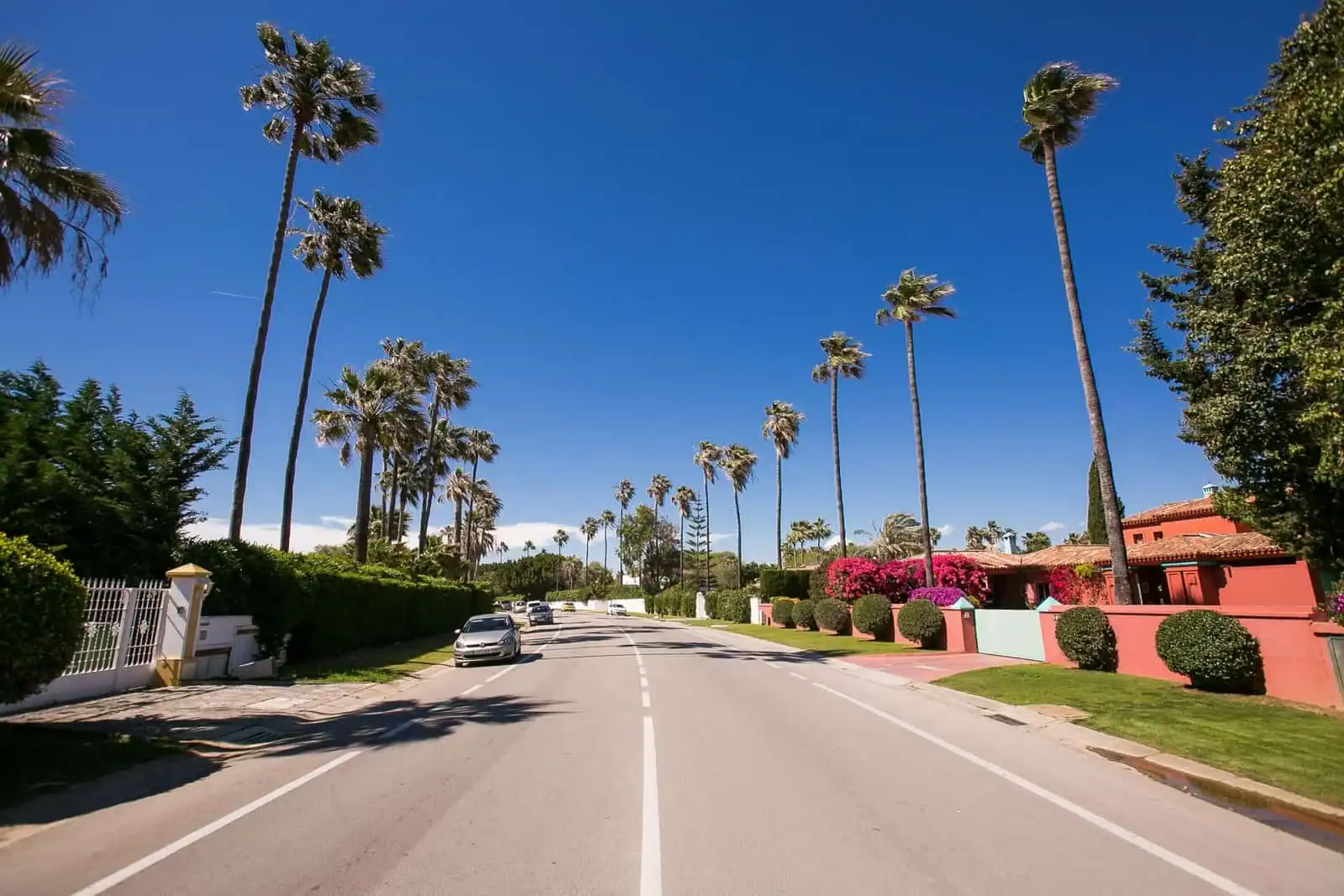 Leading Marbella High-End Agency Expands Operations to Sotogrande 1 kings and queens.jpg 1