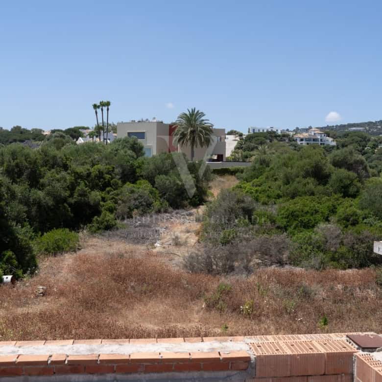 780